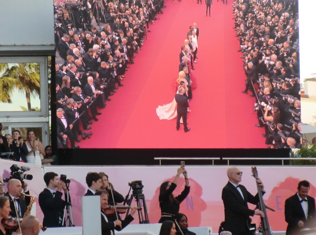 Festival Cannes: mont&eacute;e des marches